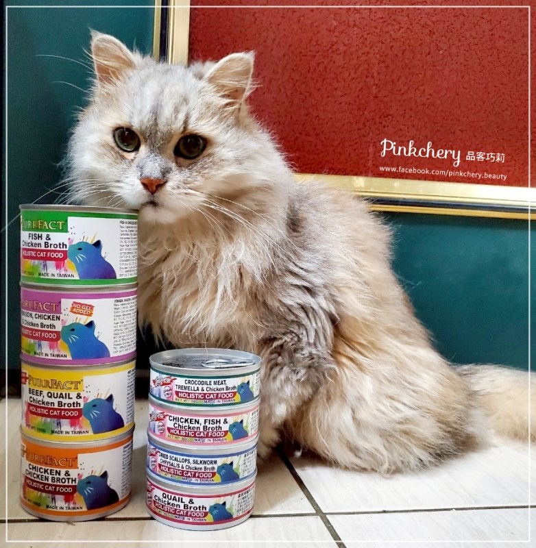 女人知己試用大隊,口碑行銷,部落客行銷,PURRFACT 波菲特貓用主食罐,主食罐,PURRFACT波菲特,貓主食罐,貓罐,PURRFACT波菲特貓用主食罐,魚肉蔓越莓主食罐,鮮嫩雞主食罐,鹿肉雞肉主食罐,牛肉鵪鶉貓主食罐,干貝蠶蛹配方,鱷魚肉白木耳配方,雞肉魚肉配方,安心鶉配方,評價,體驗,適口性佳,心得,成貓適用,高齡貓適用,質地是慕絲狀